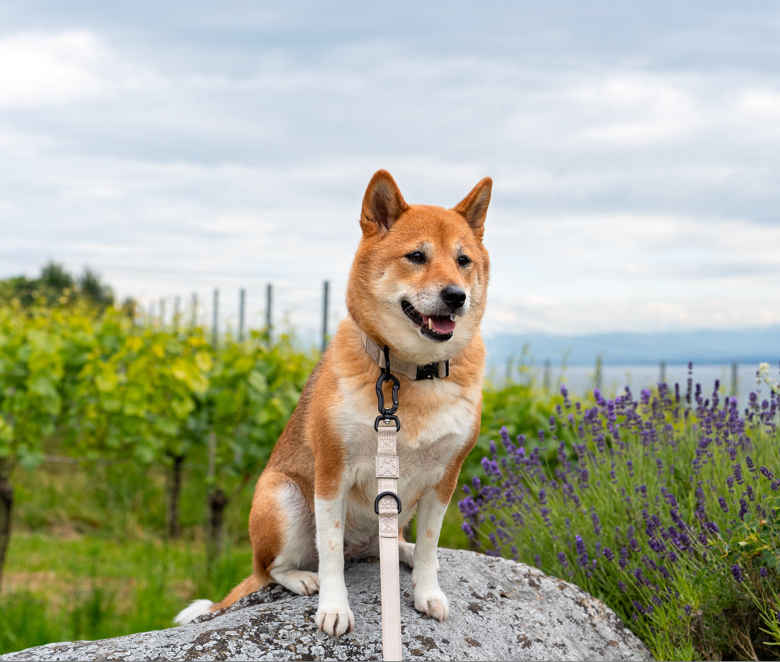 Exploring the Lake Constance Region With Svenja and Lotte Exploring the Lake Constance Region With Svenja and Lotte