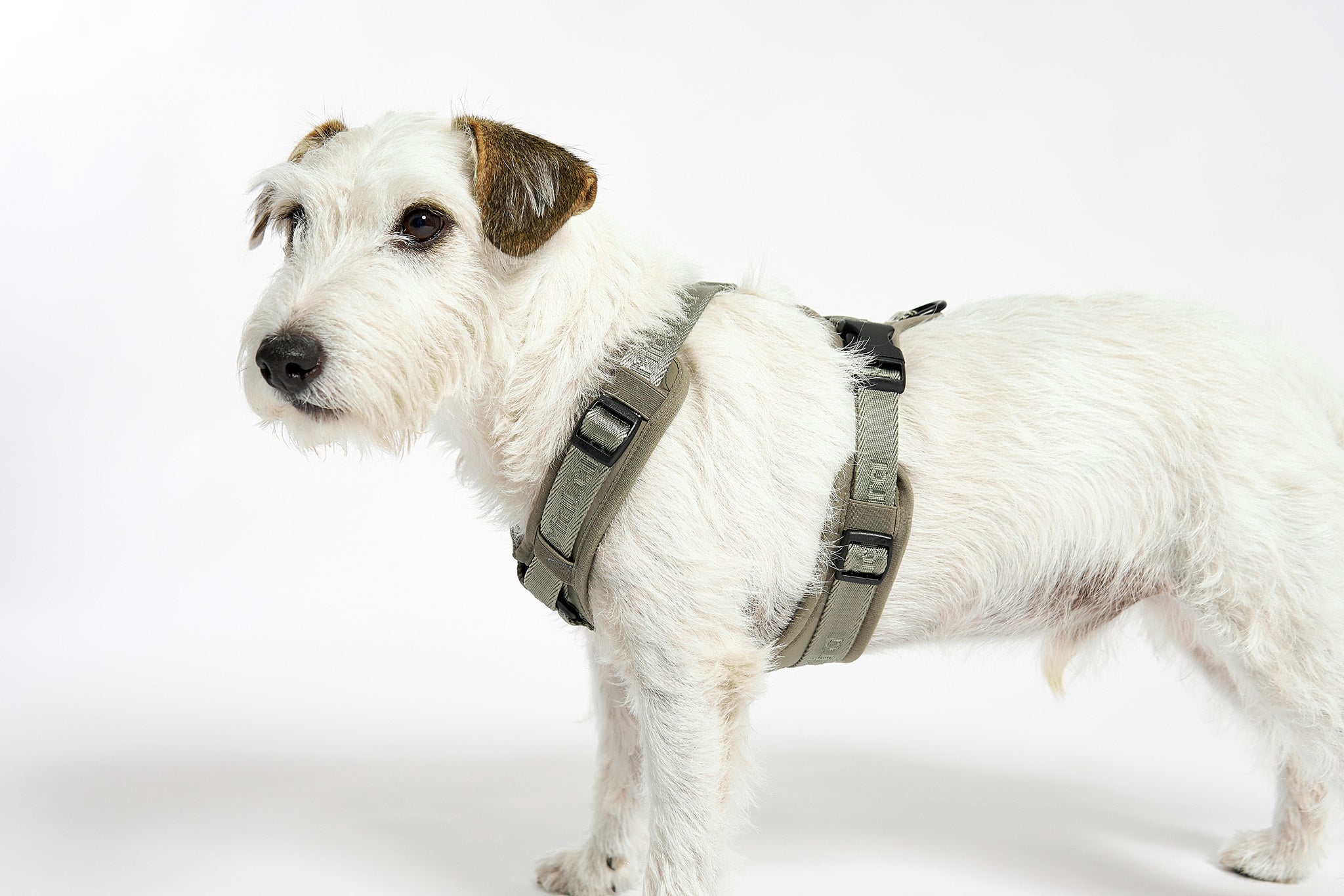 Hundegeschirre Hundegeschirre