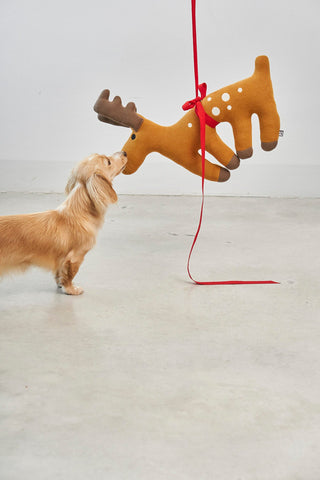 Gift Guide für Hunde und Hundeliebhaber