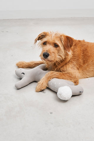 Gift Guide for Dogs and Dog Lovers