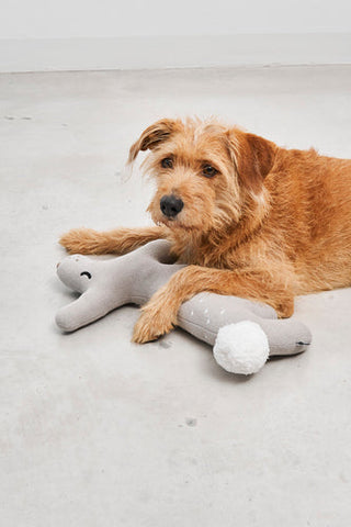 Gift Guide für Hunde und Hundeliebhaber