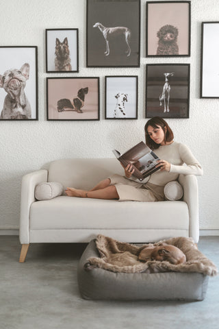 brandina miacara  Dog sofa, Pet furniture, Dog furniture