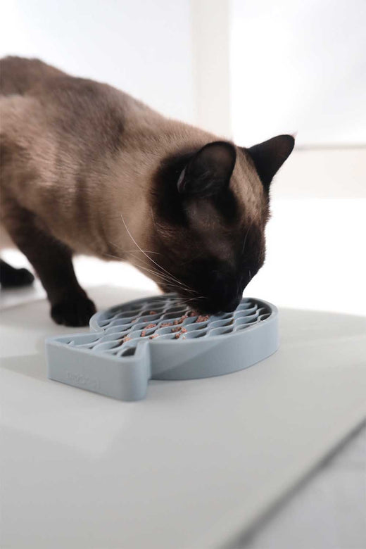 Gift Guide für Katzen und Katzenliebhaber