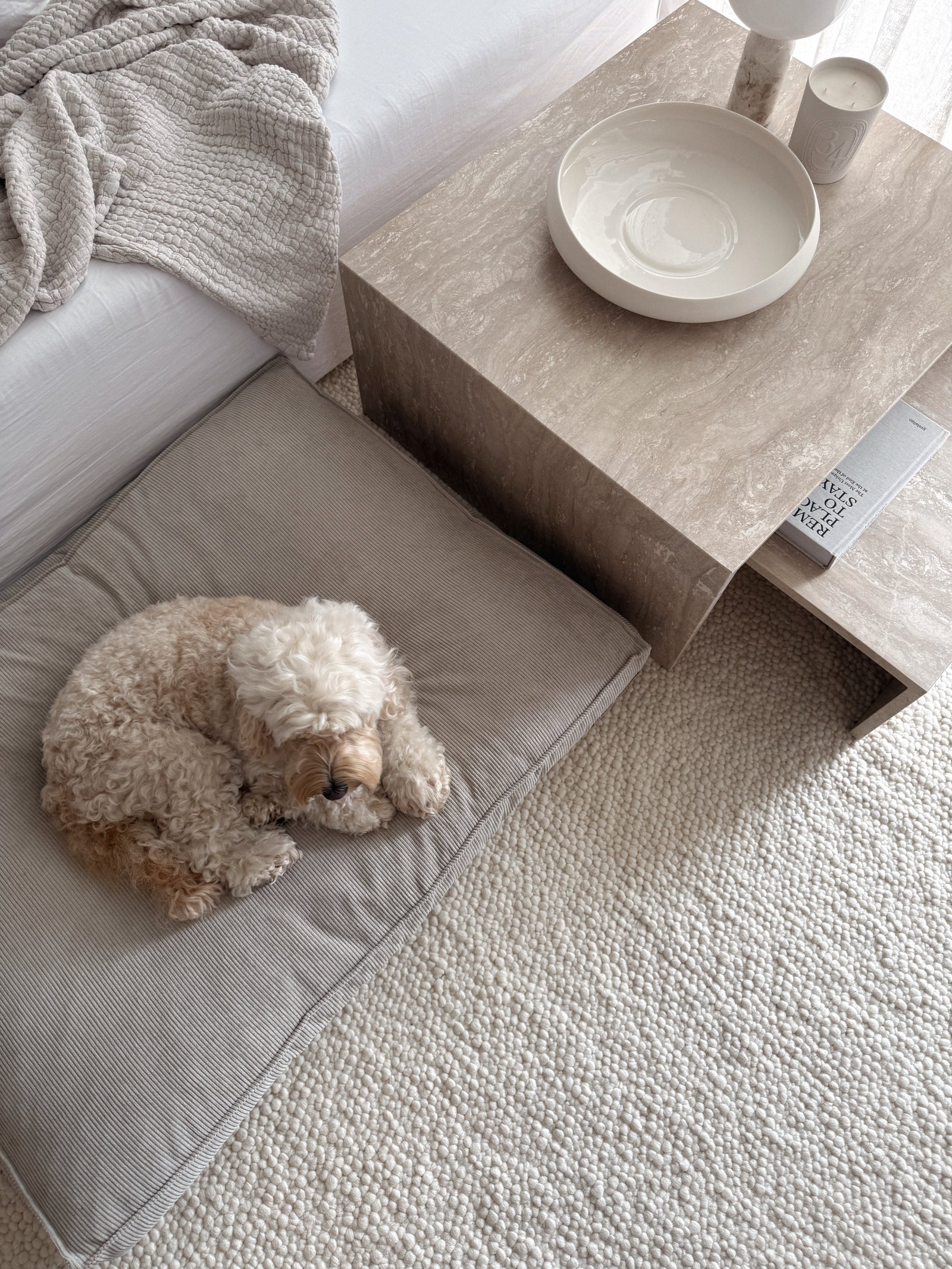 Der richtige Schlafplatz für Deinen Hund