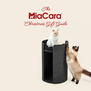 X-Mas Gift Guide for Cats and Cat Lovers