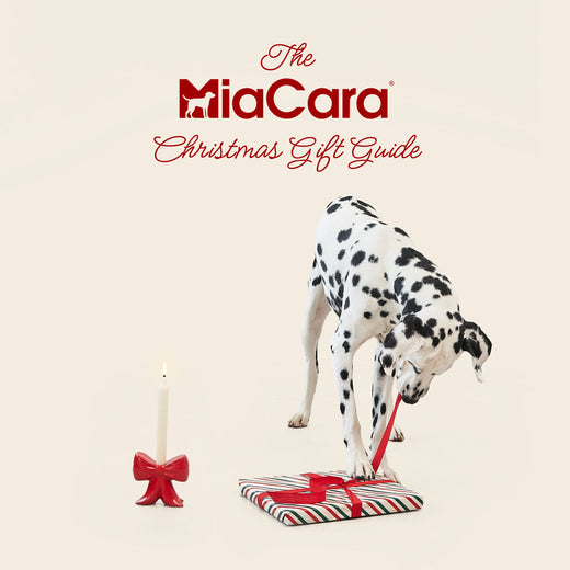 X-Mas Gift Guide for Dogs and Dog Lovers