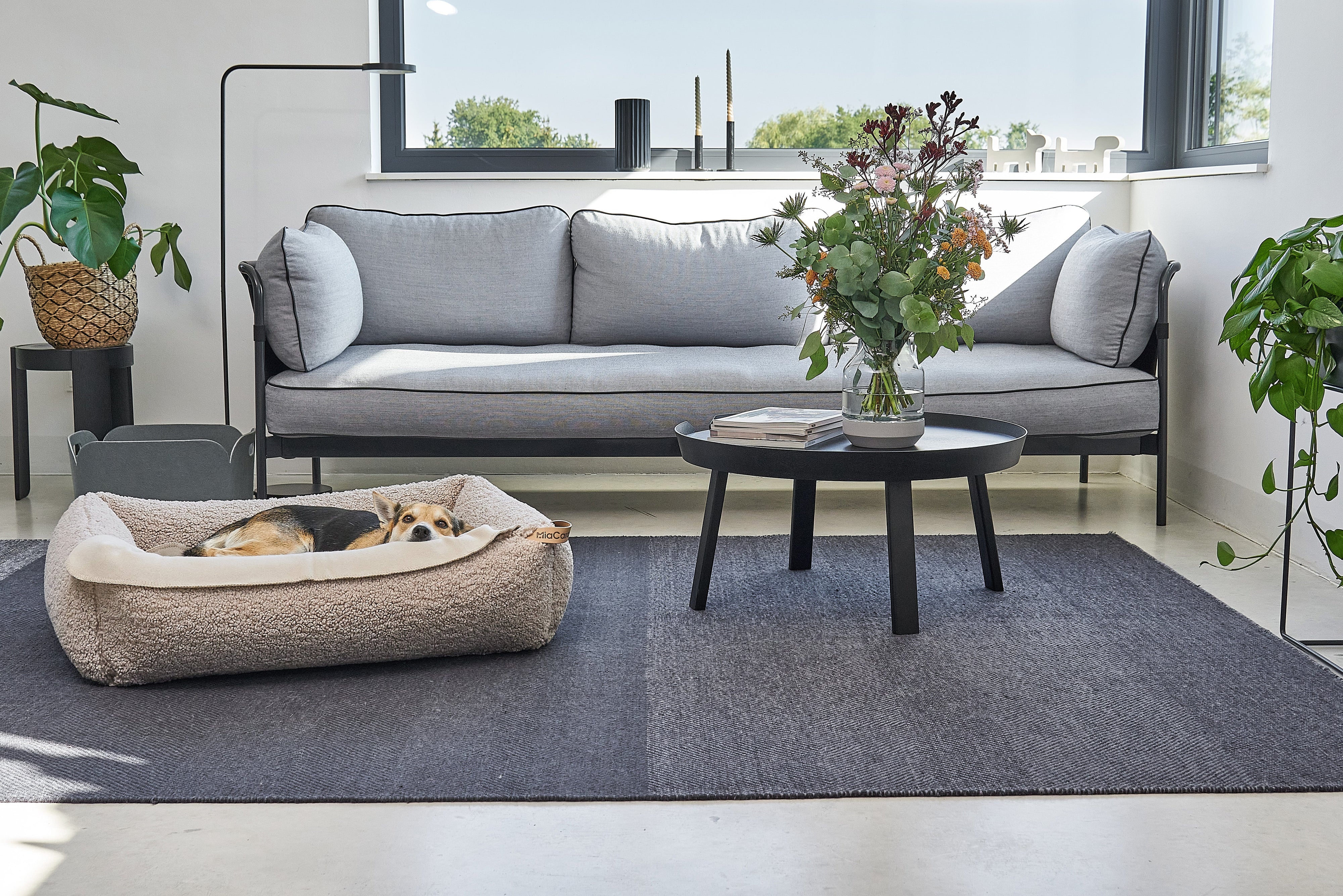 Orthopädische Hundebetten und Hundekissen