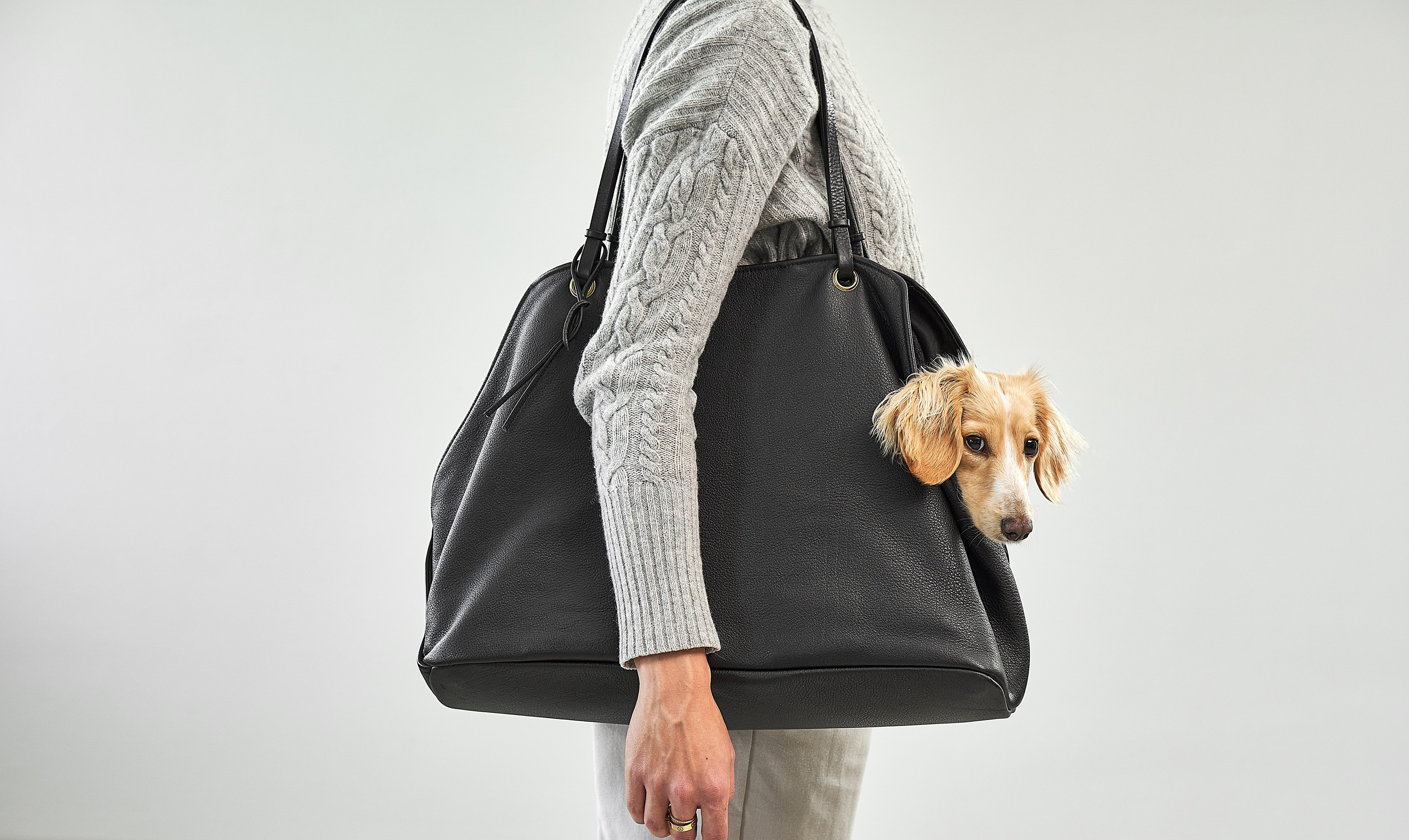 Luxury Dog Travel Bags – Practical & Beautiful for the Road | MiaCara