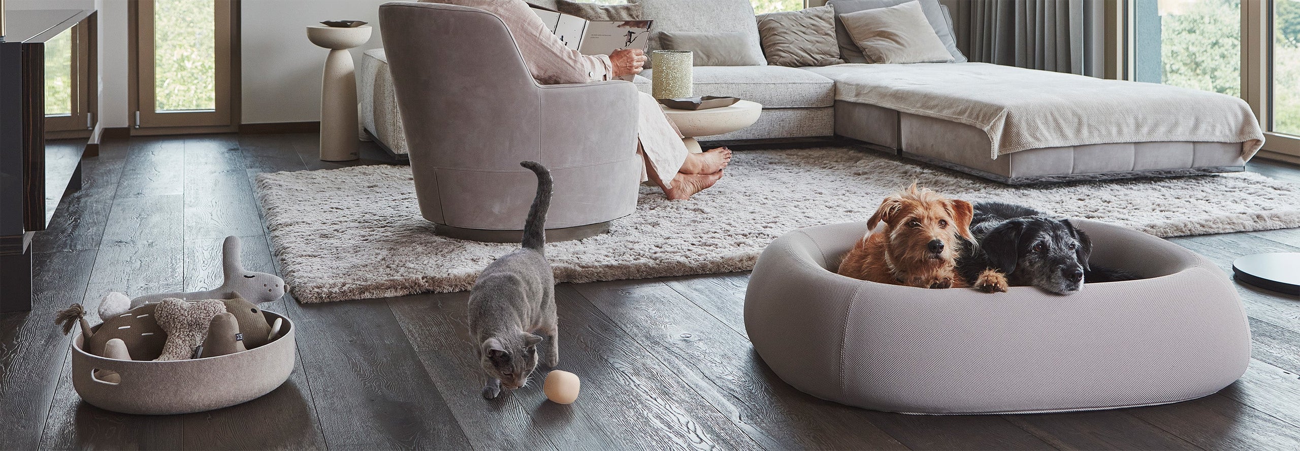 Design für Hund & Katze