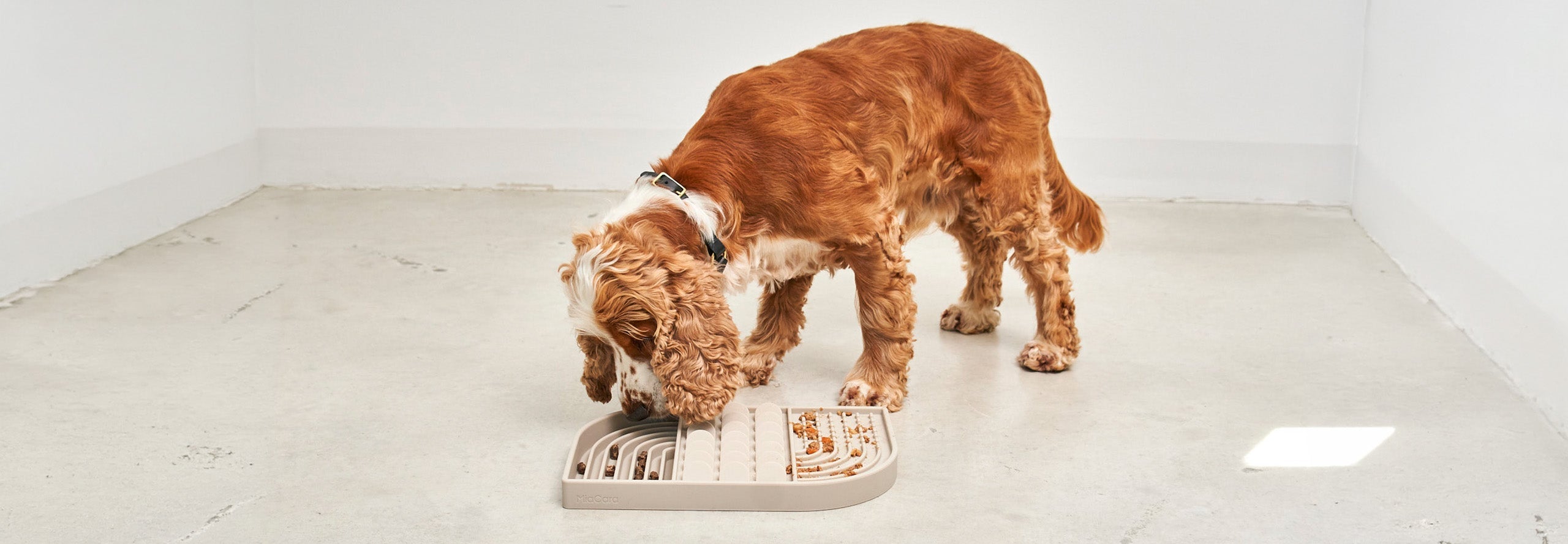 Beschäftigungsspielzeuge für Hunde