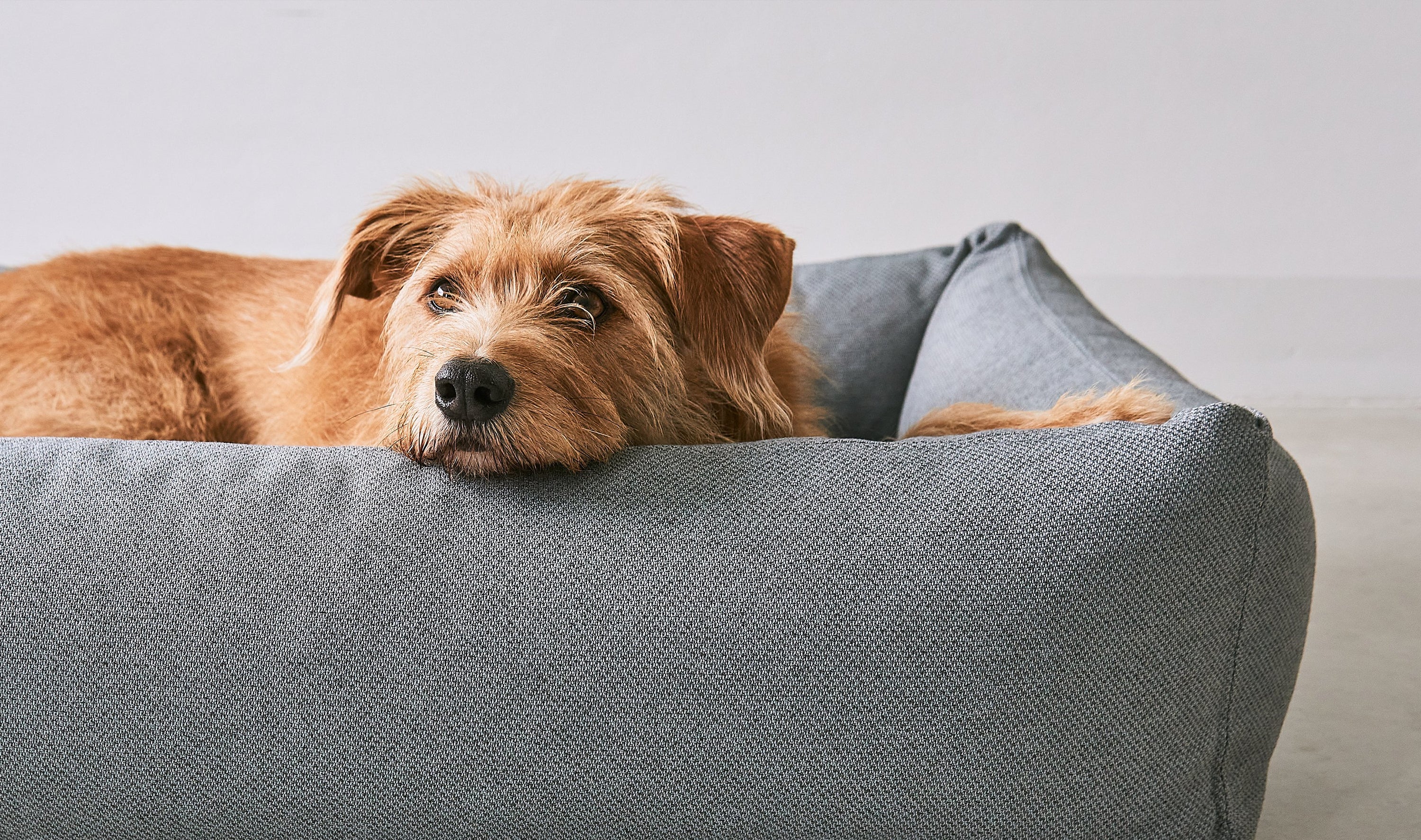 Überzüge für Hundebetten
