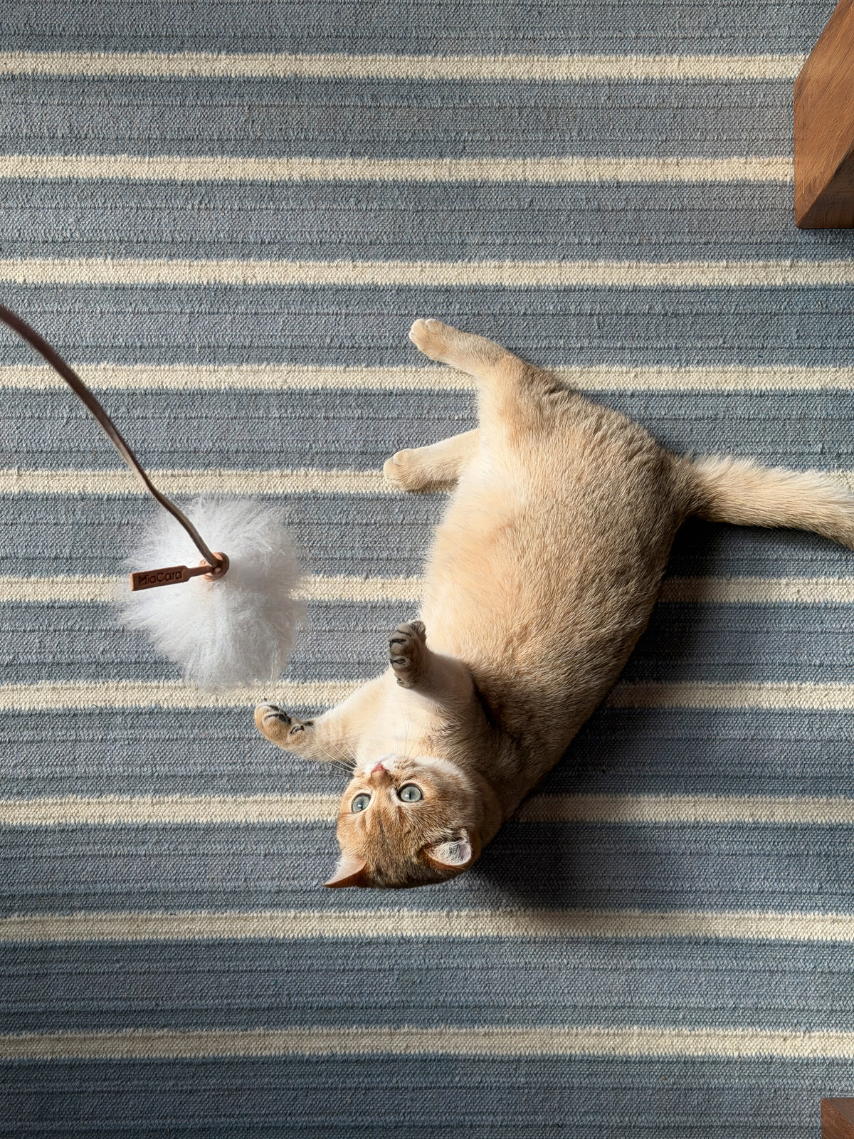 Image 68883134873973