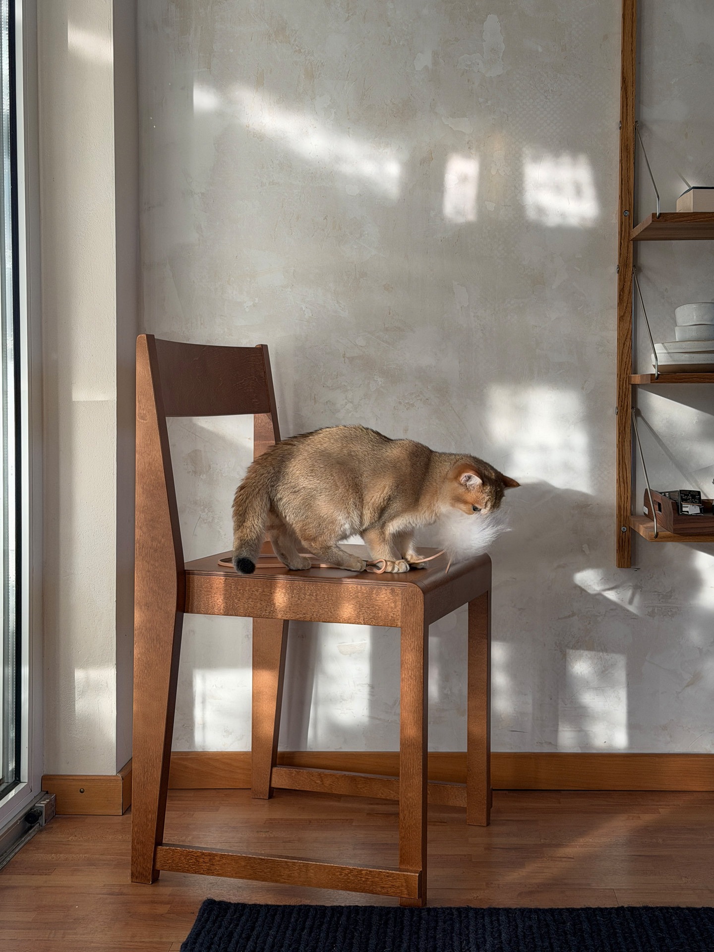 Image 68884393165173