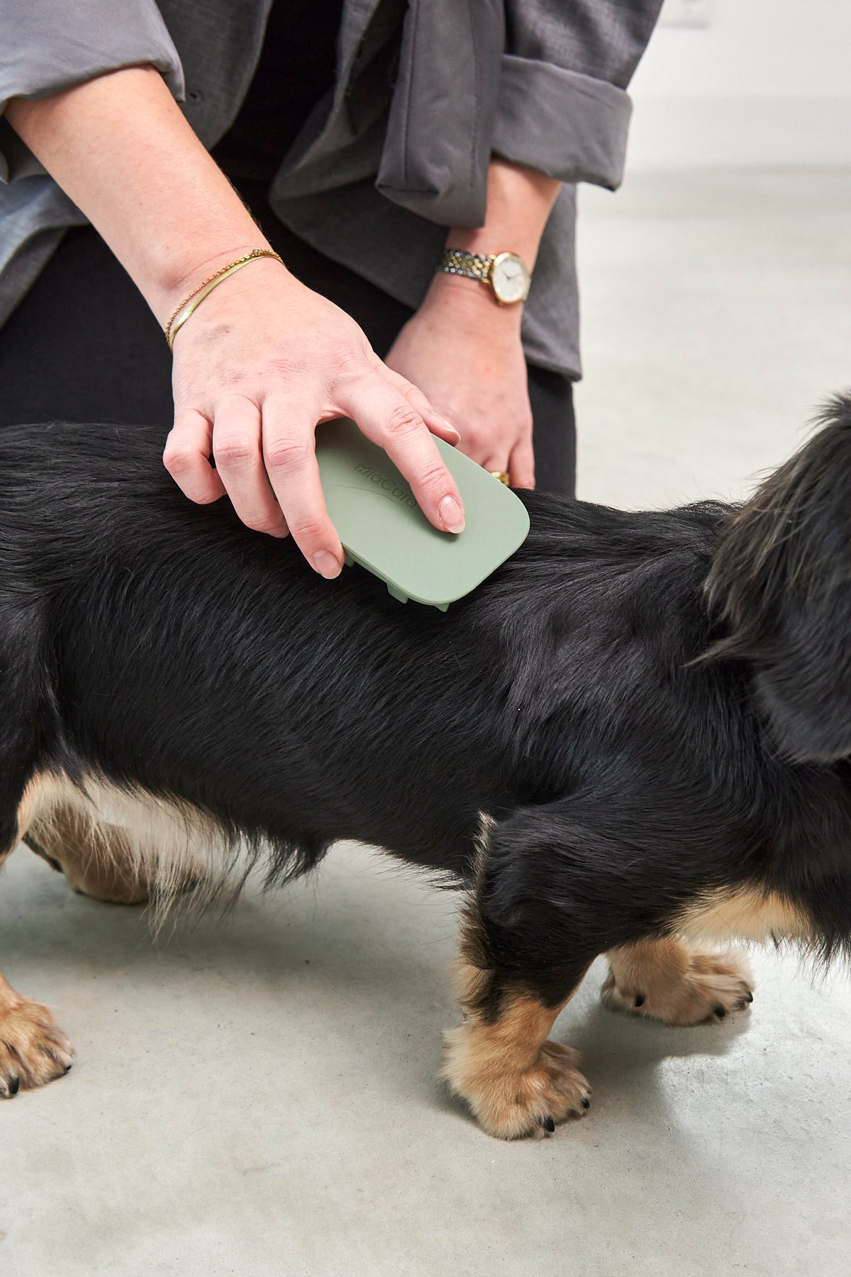 Pelo Dog Brush MiaCara - Main Image