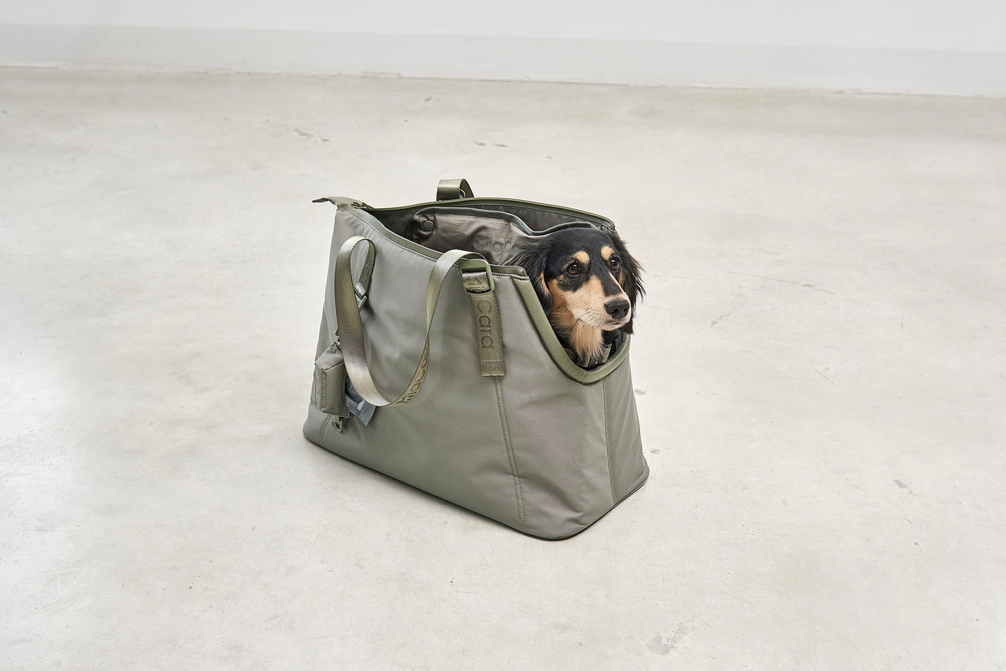 Image 63888128868725