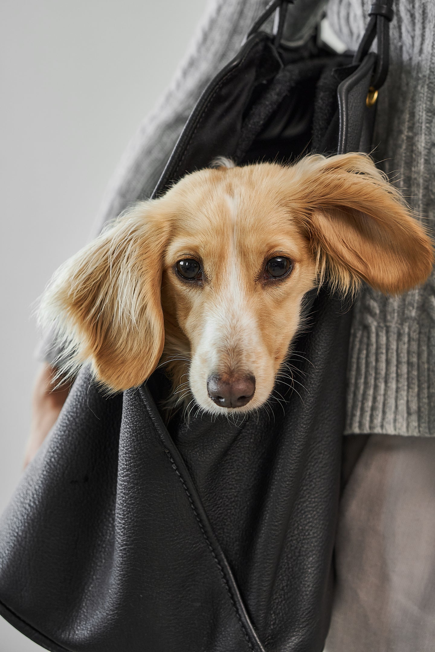 Image 66877392093557