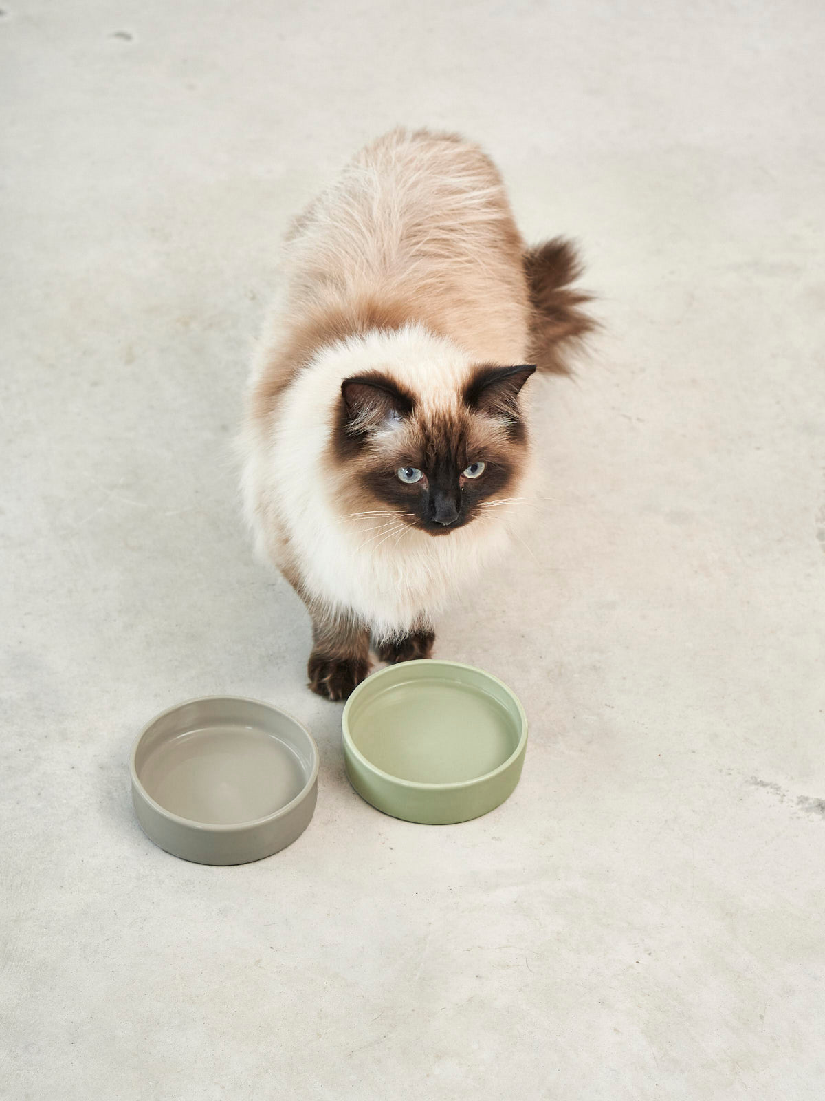 Image 66623824953717