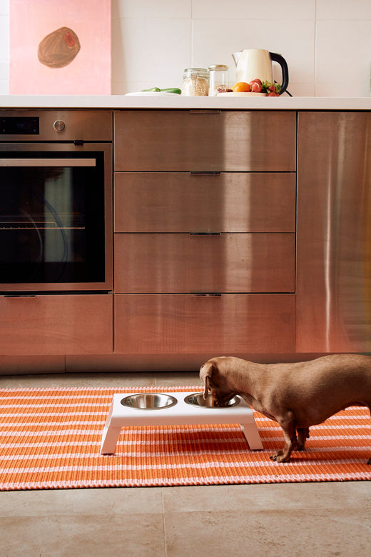 SKU:: C06-005-06-S ||