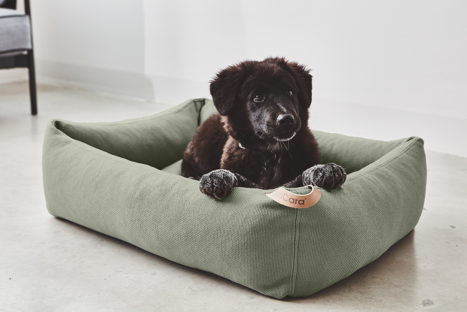Sonno High Quality Dog Bed From MiaCara
