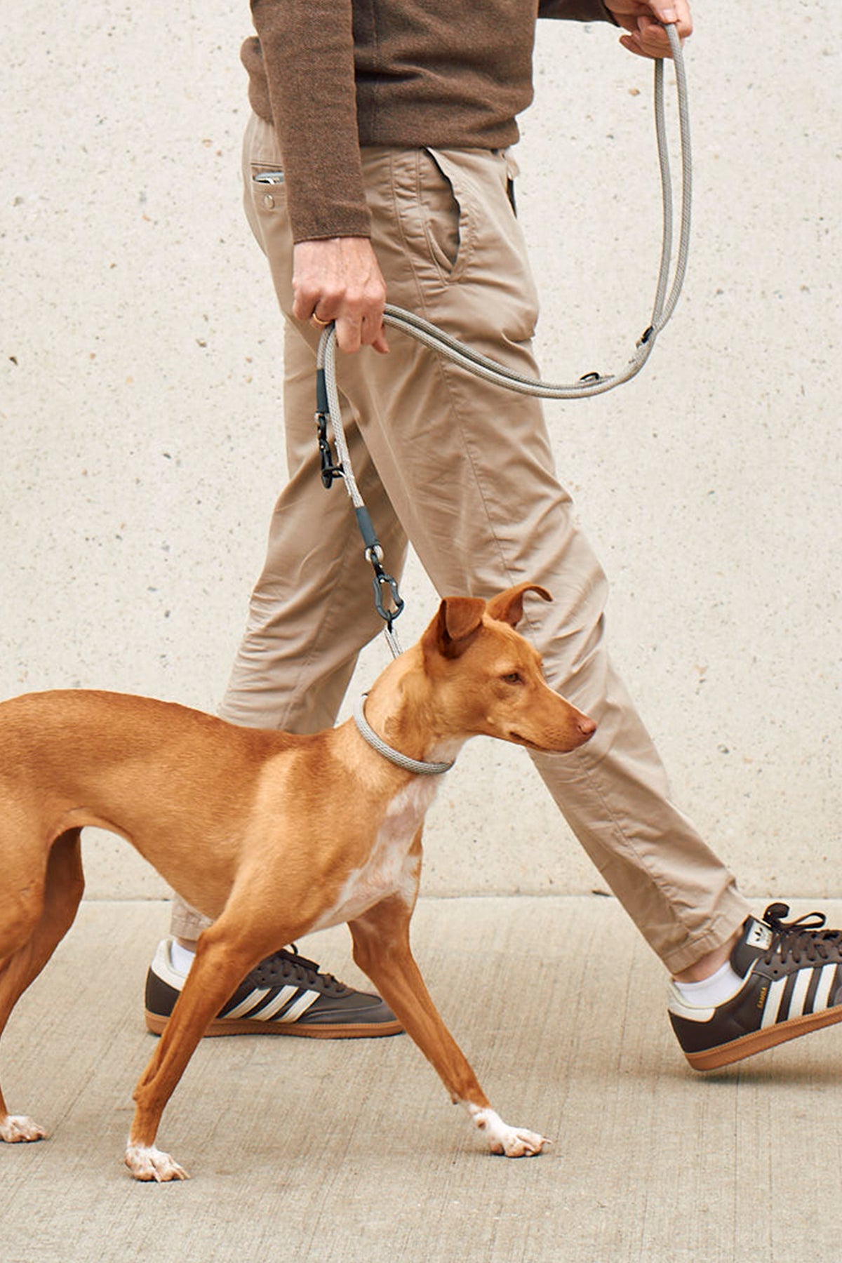 Image 69264857203061