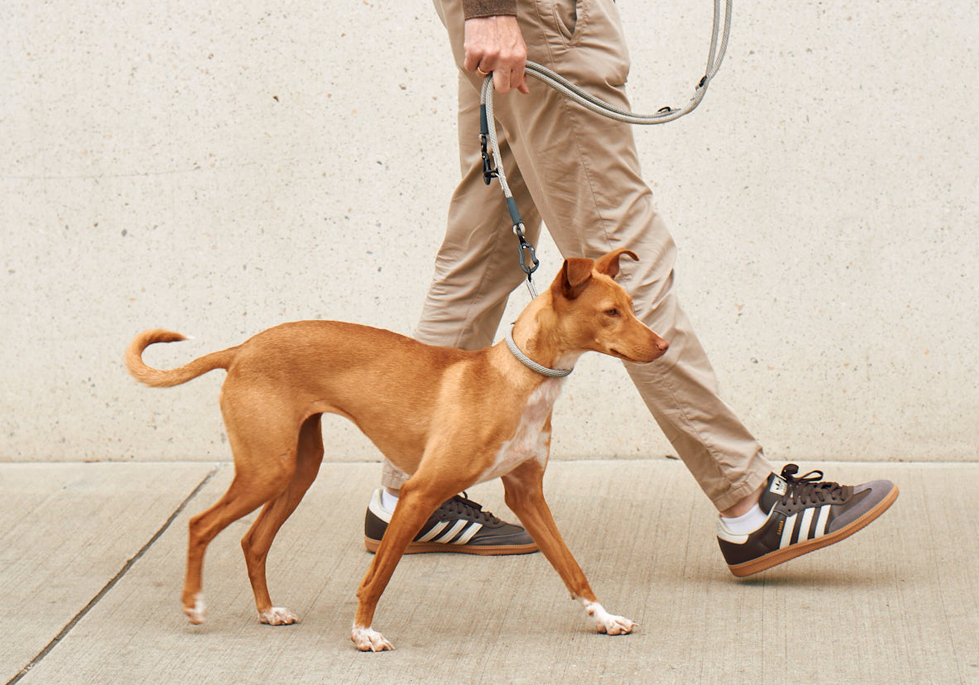 Image 69264818110837