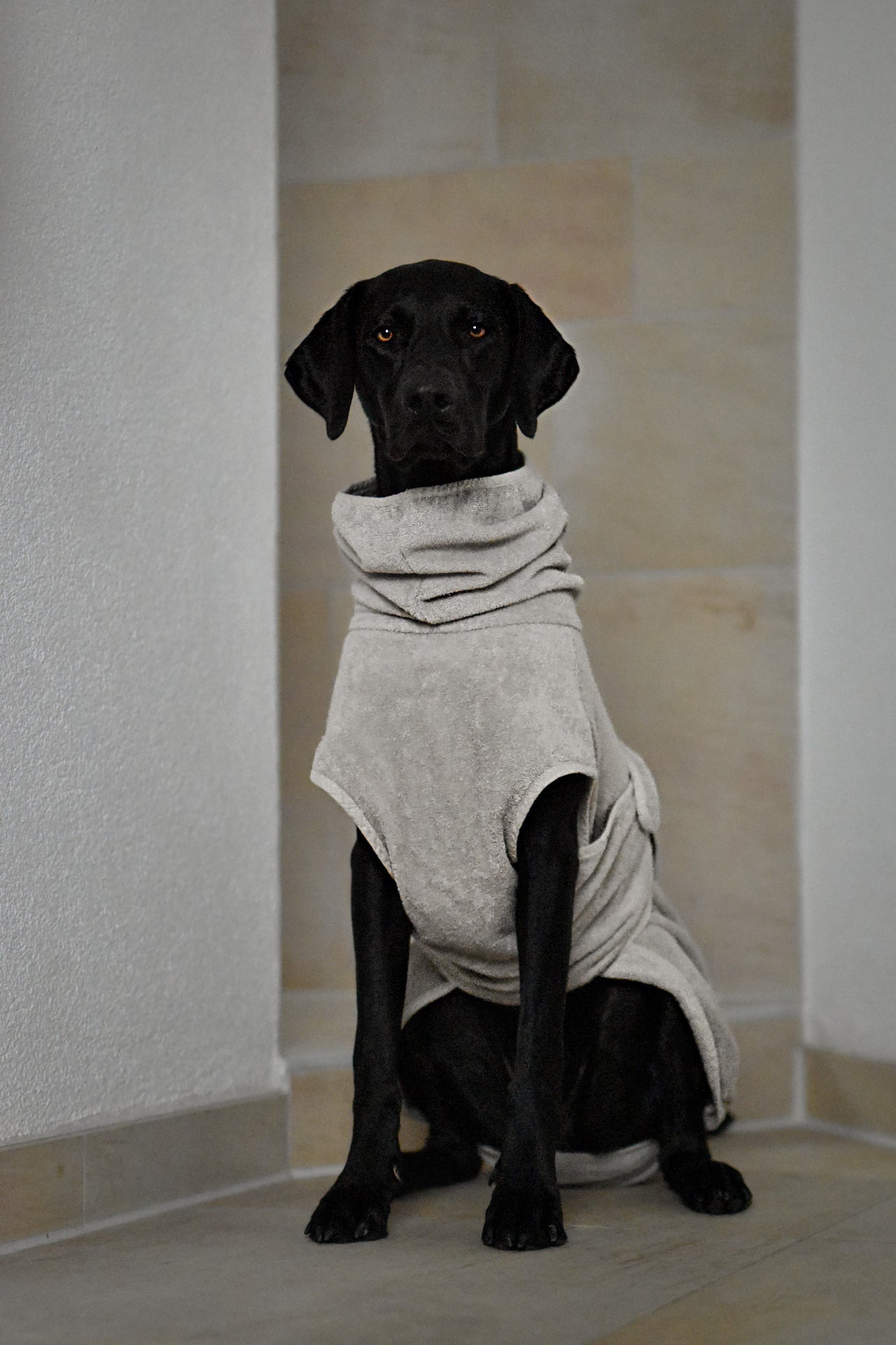 Image 36153215615252