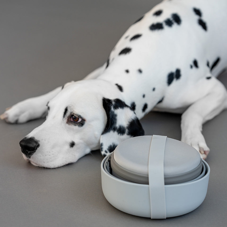 Image 69169508712821