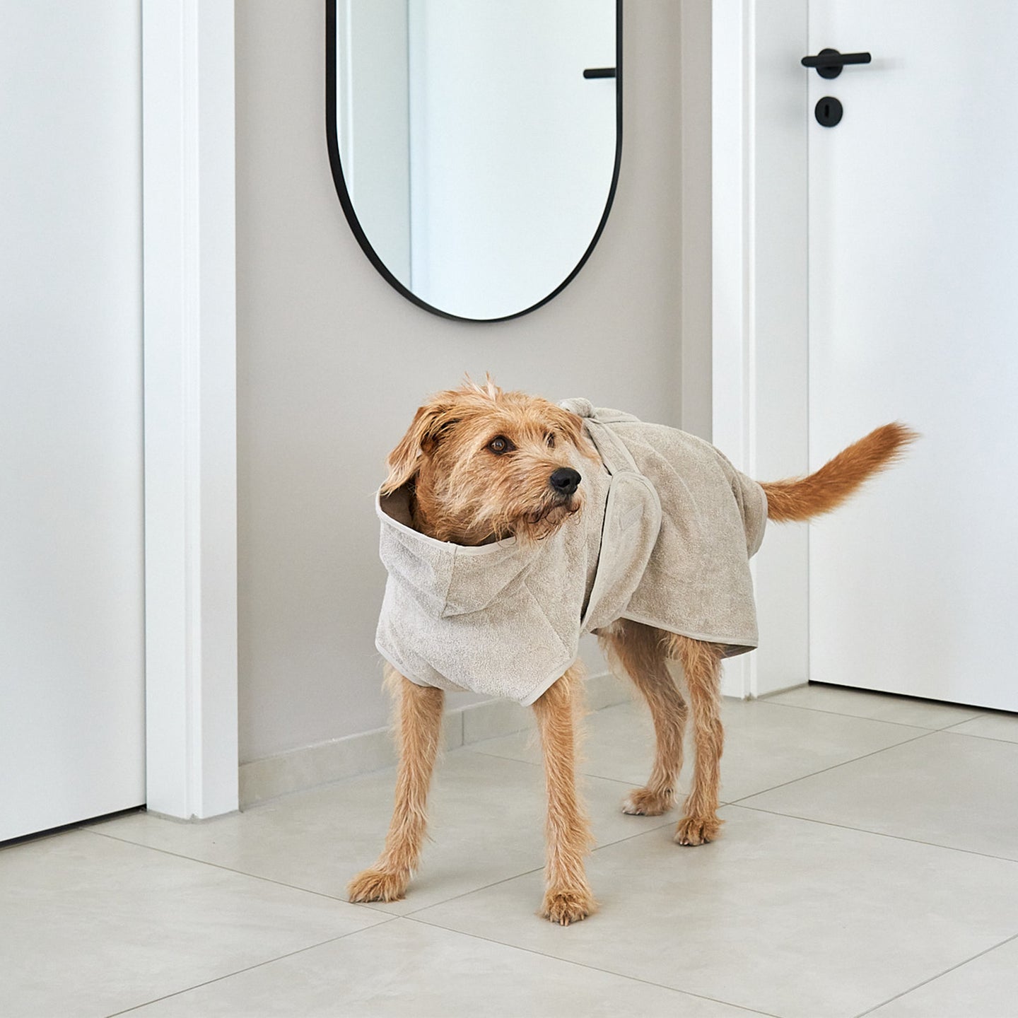 Image 68819944964469