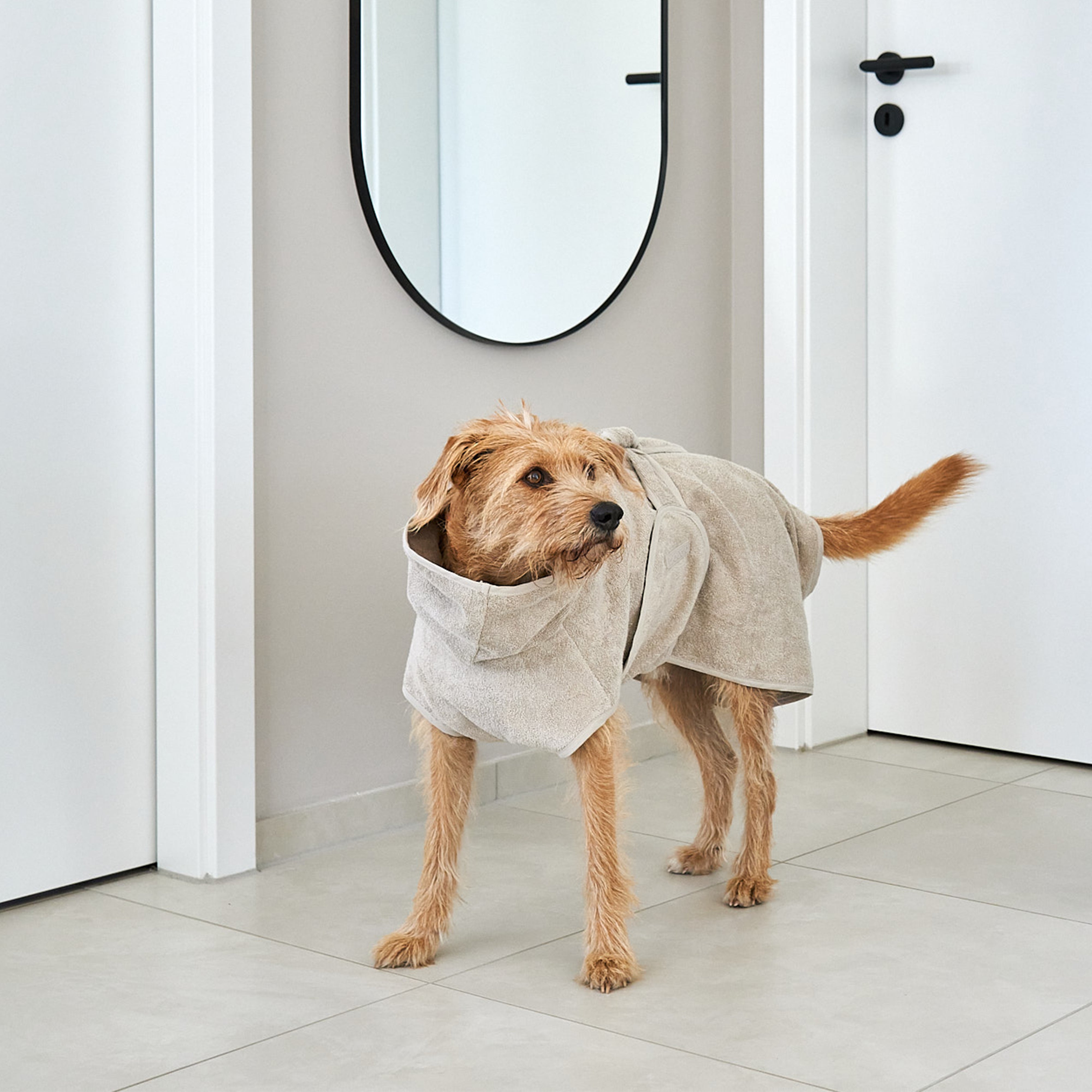 Image 68819944964469