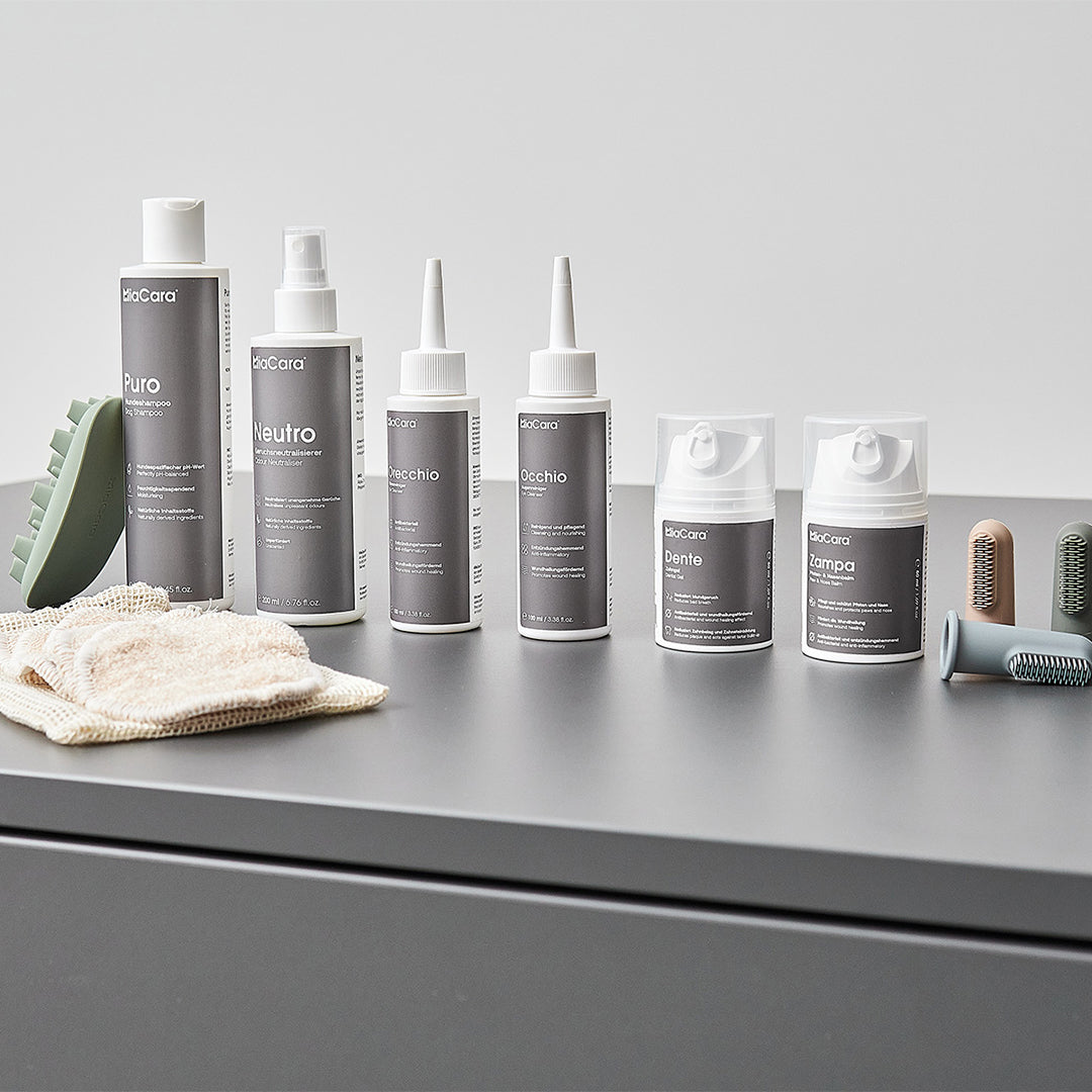 Image 69034637754741