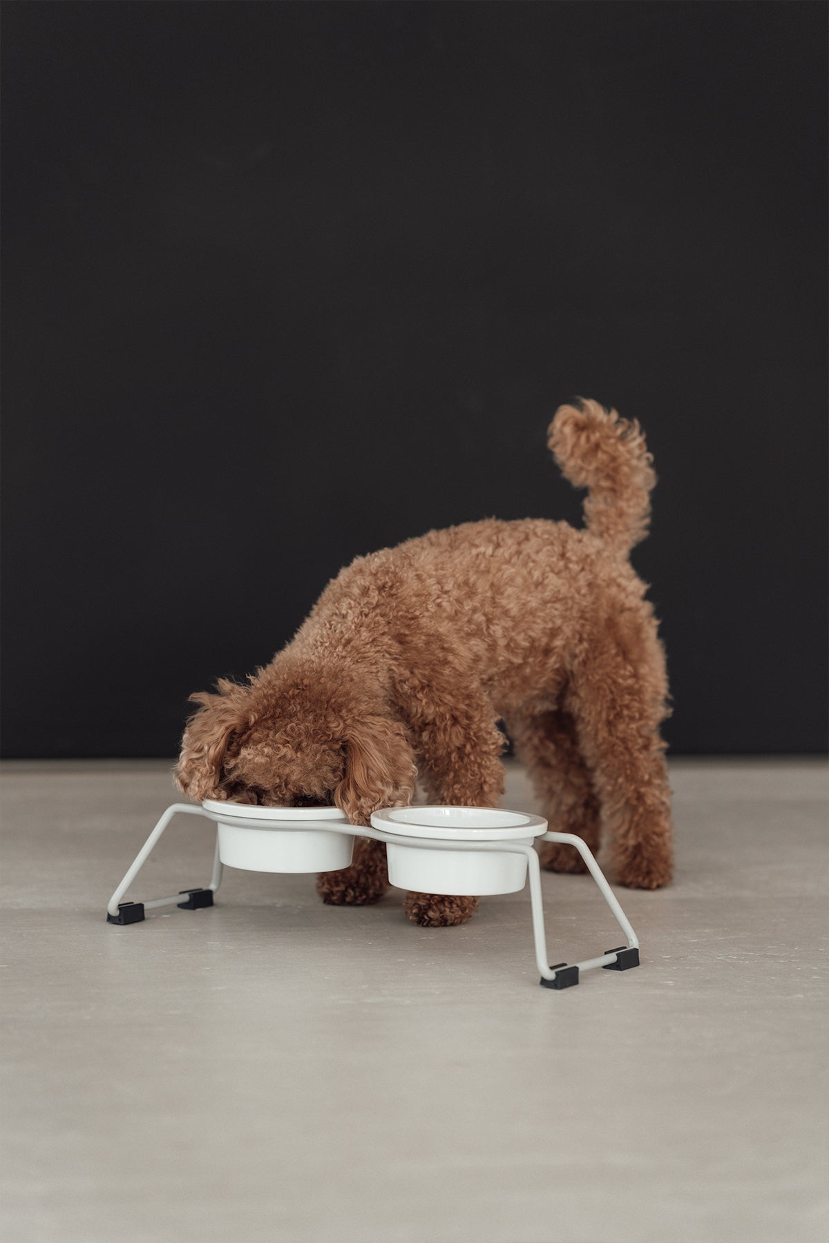 SKU:: C06-021-03-S ||