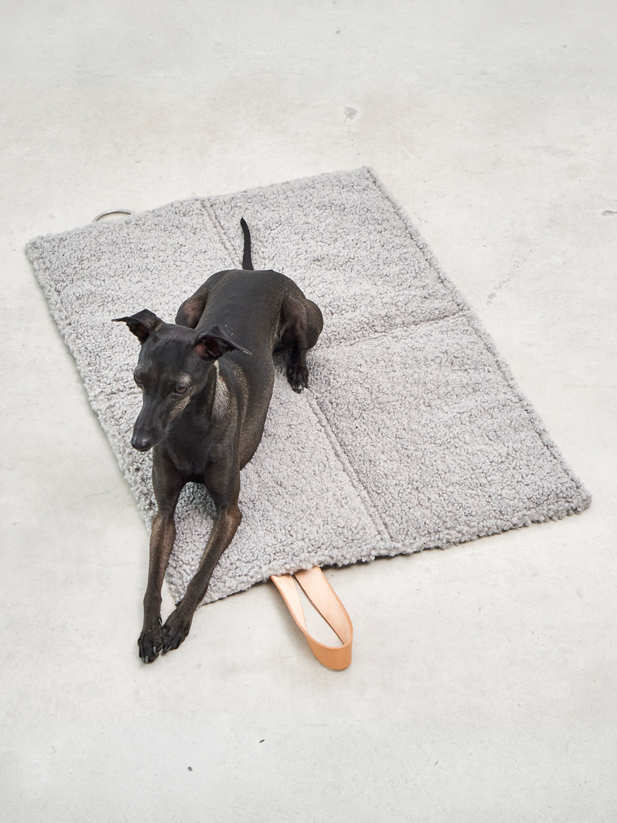 SKU:: C11-001-08-M ||