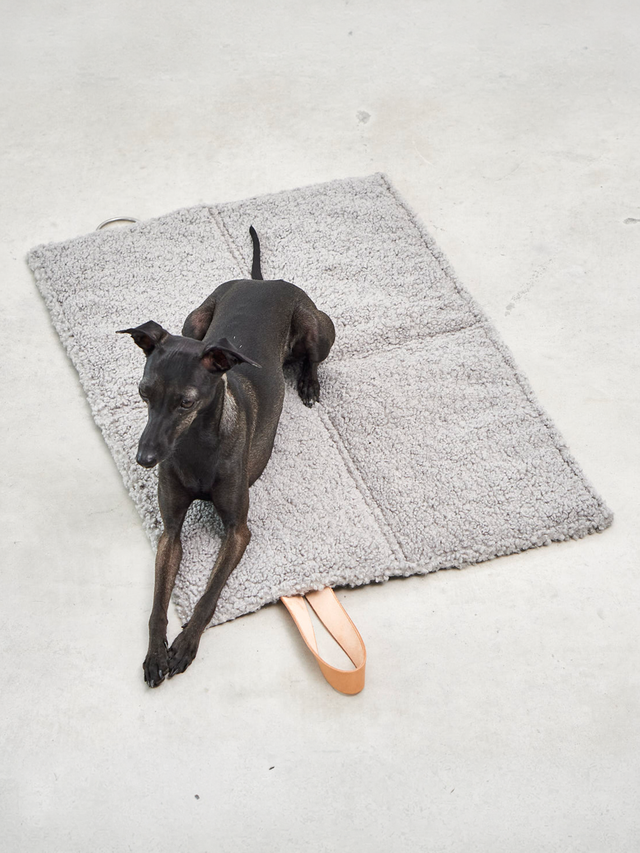 SKU:: C11-001-08-M ||