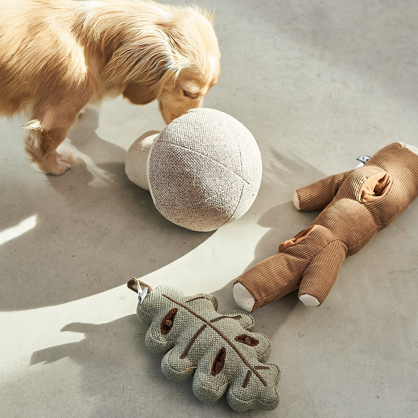 Image 66604692799861