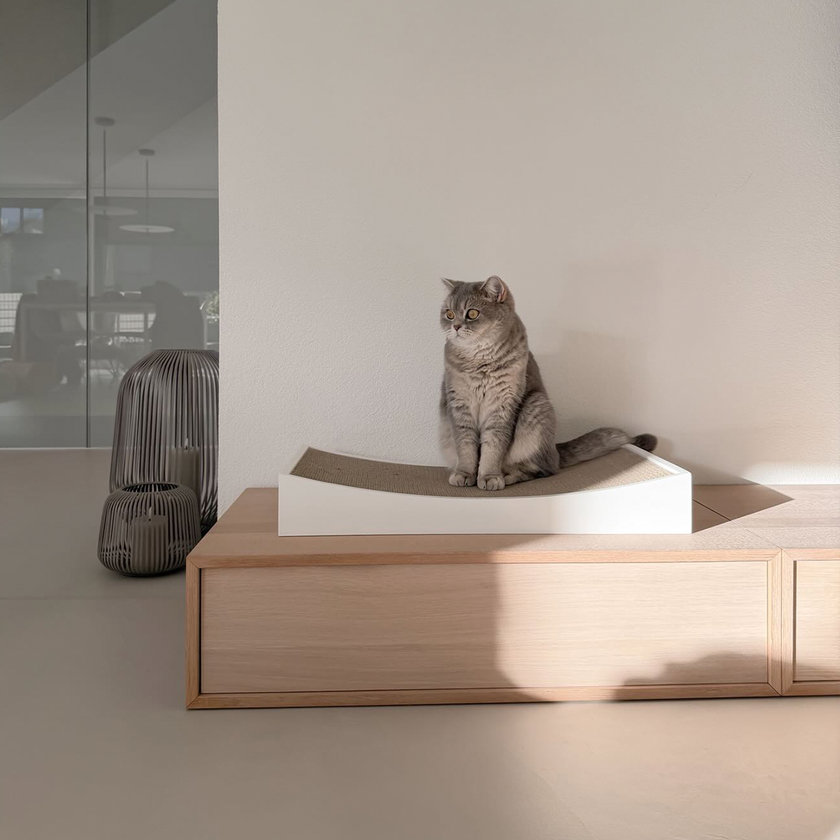 Image 66604723241333