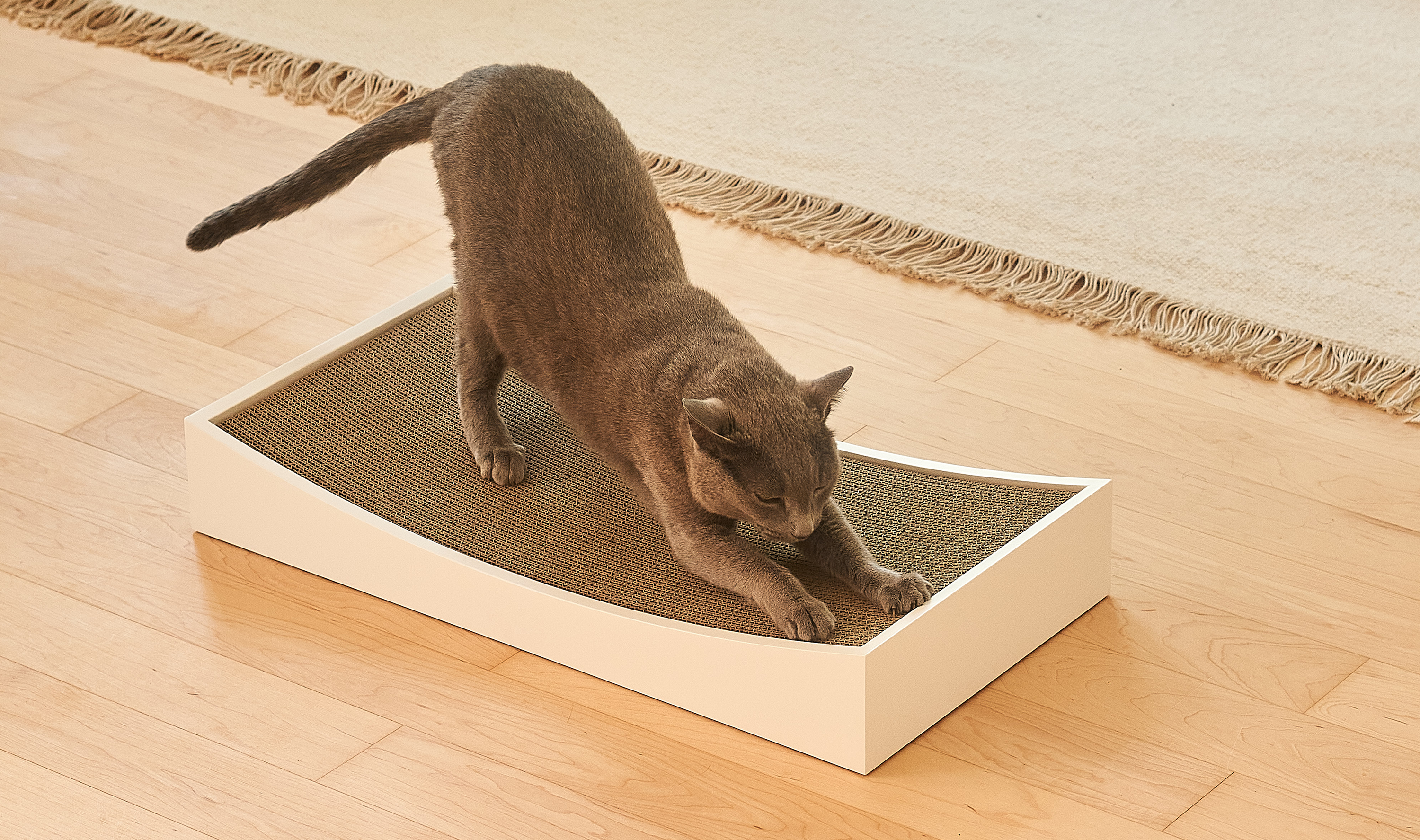 Image 66174235443573