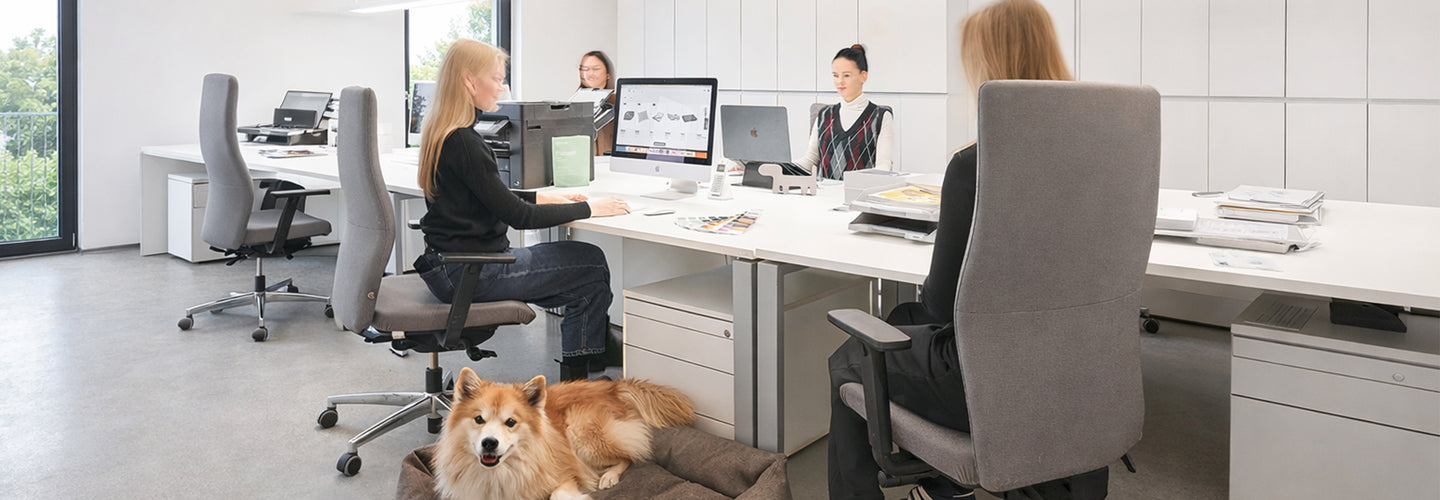 Image 69035893457269