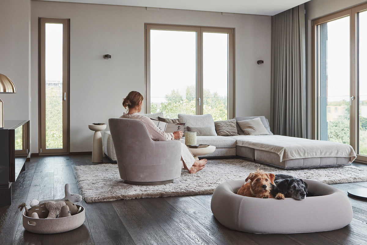 Two dogs relaxing in a MiaCara bed in a light-filled contemporary living room