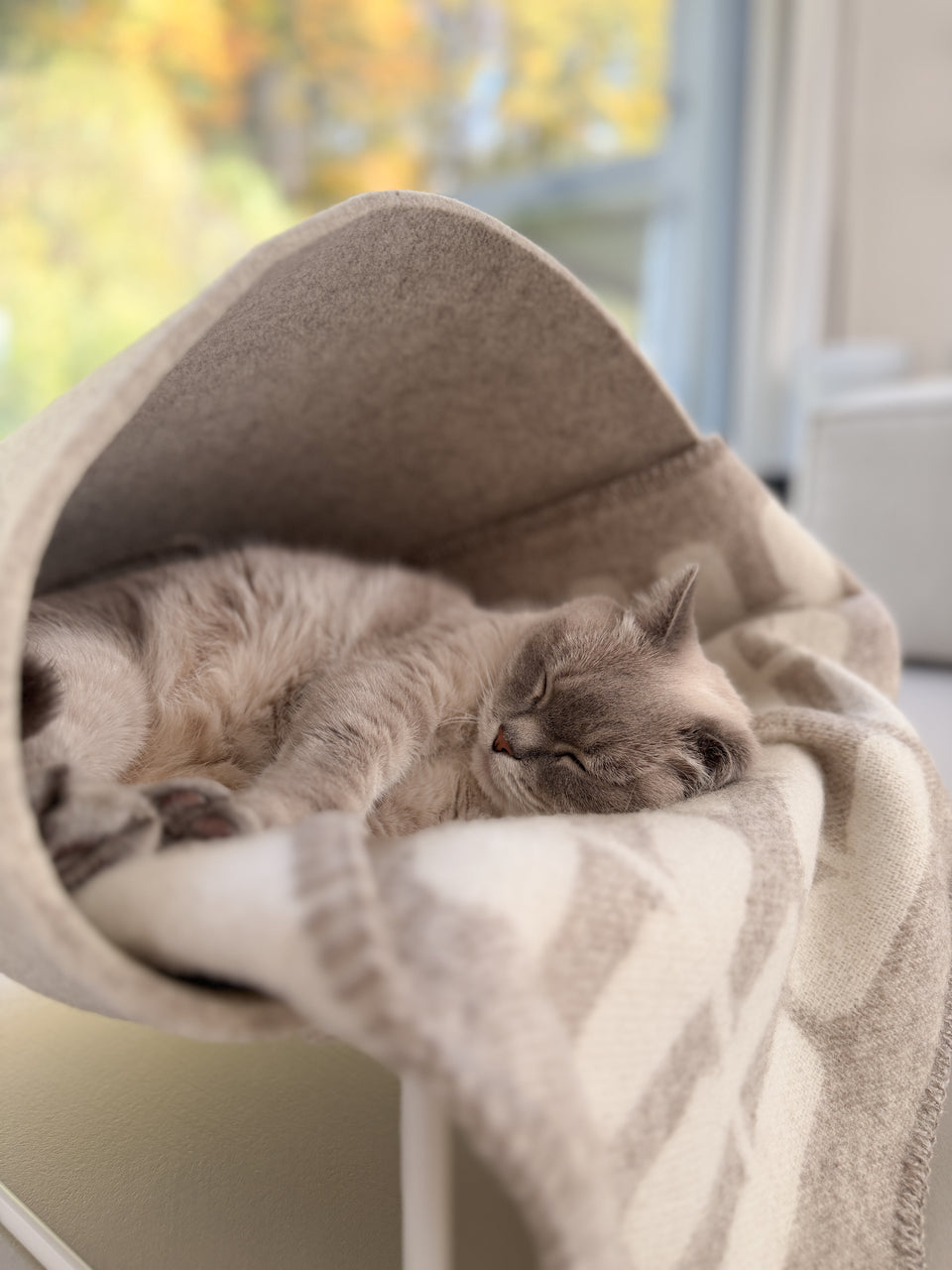 Image 66603298423157