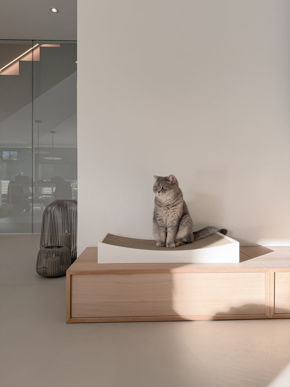 Image 66645084471669