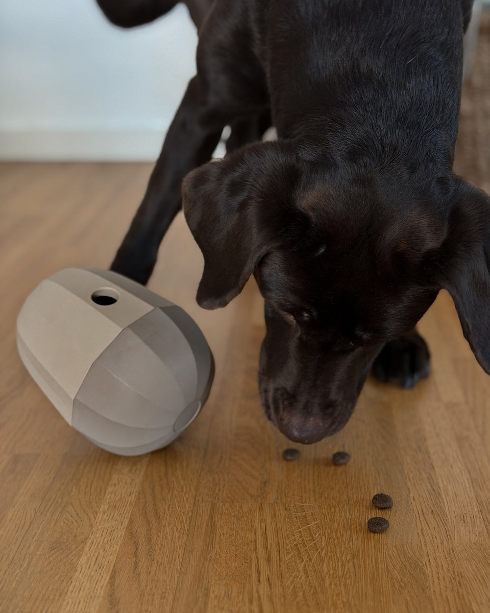 Image 68278366634357