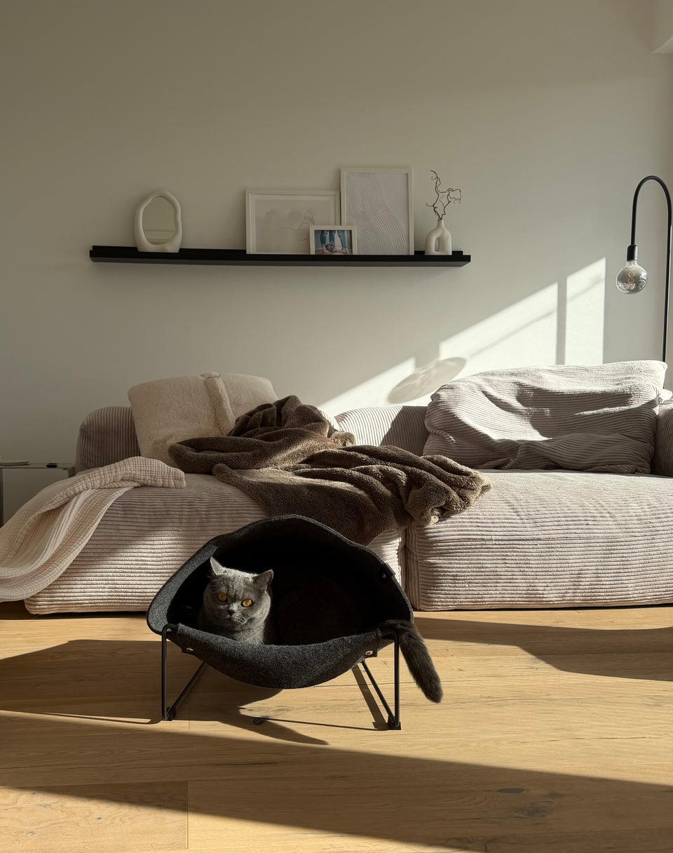 Image 66619937849717