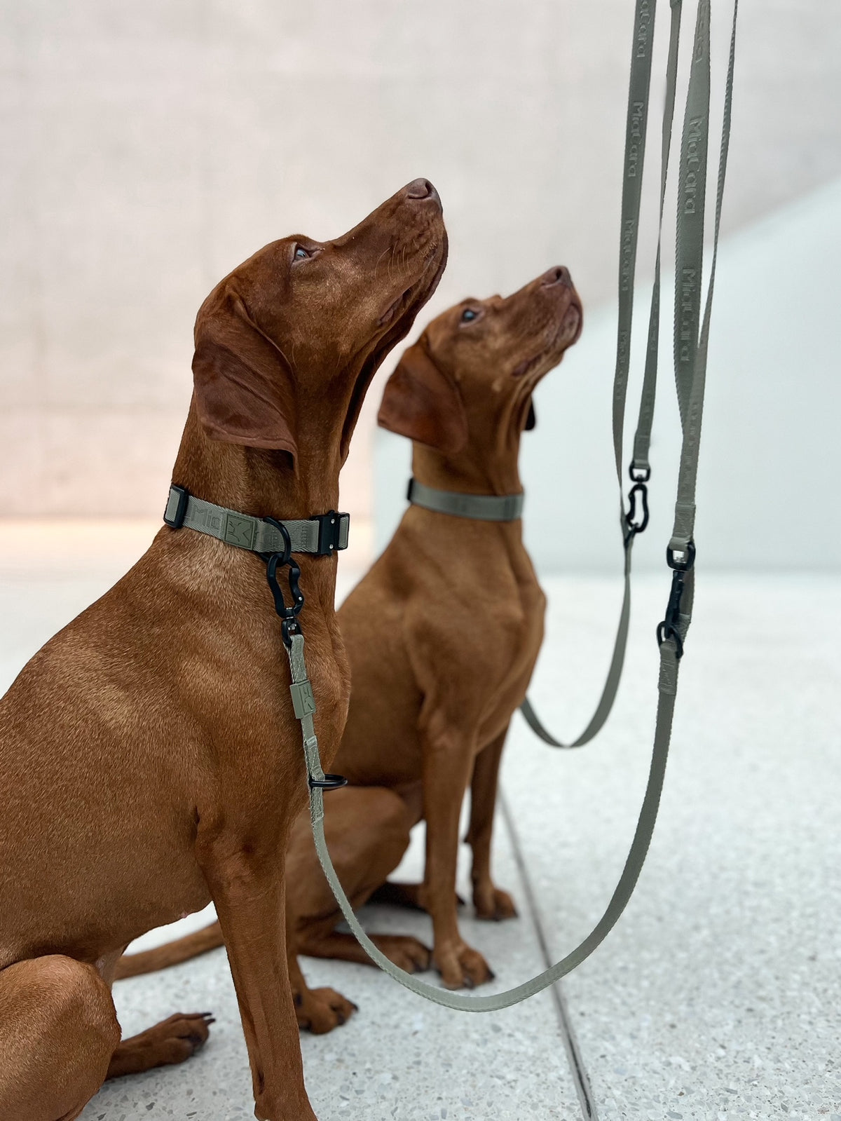 Image 68979483345269