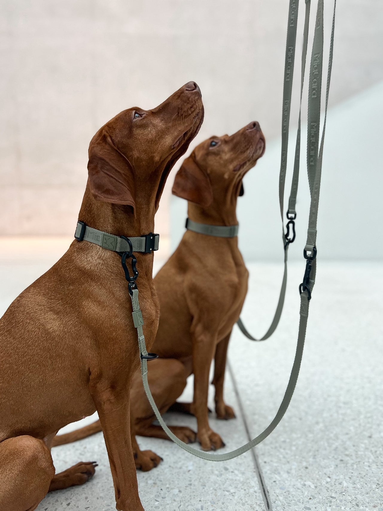 Image 68979483345269