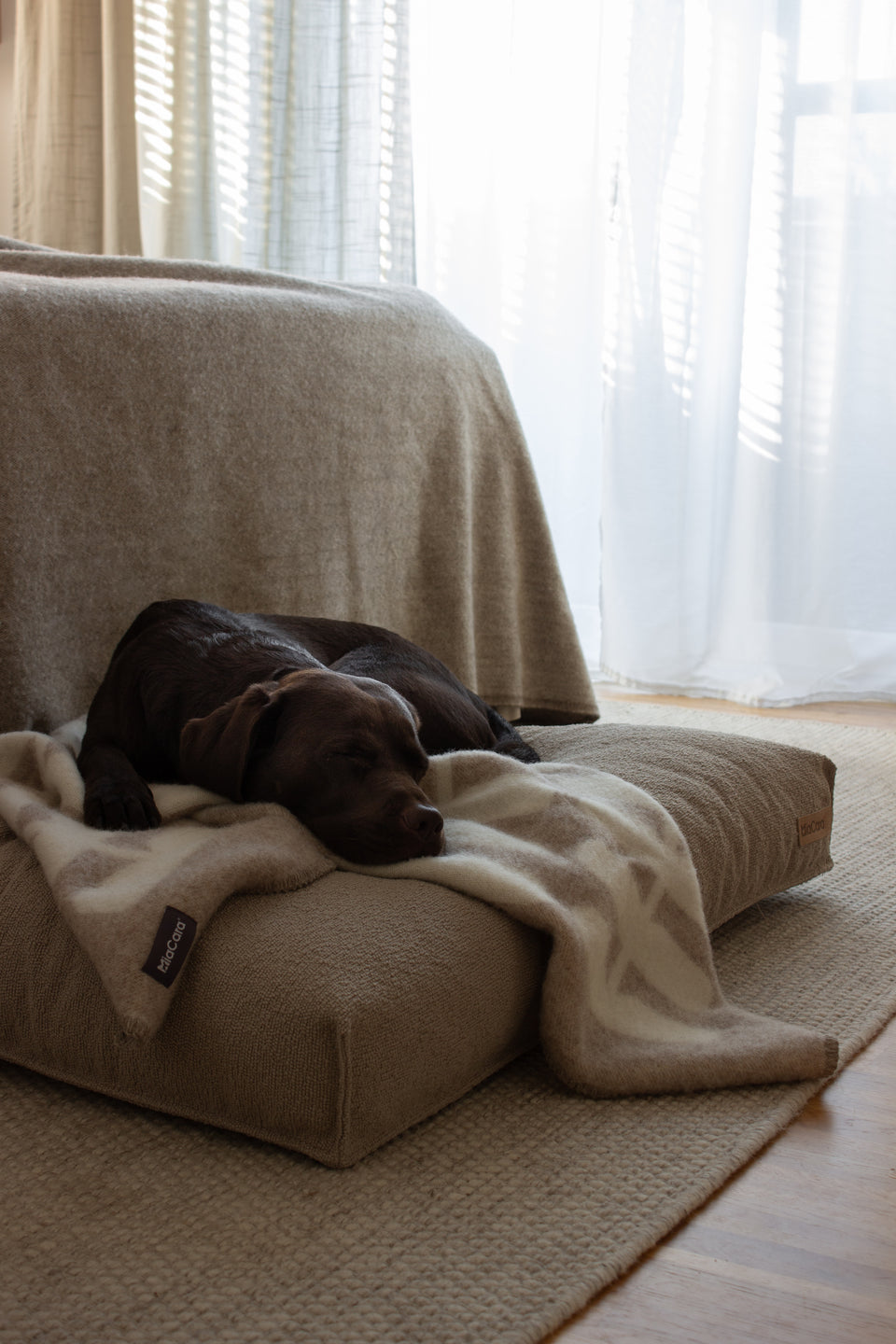 Image 68285730357621