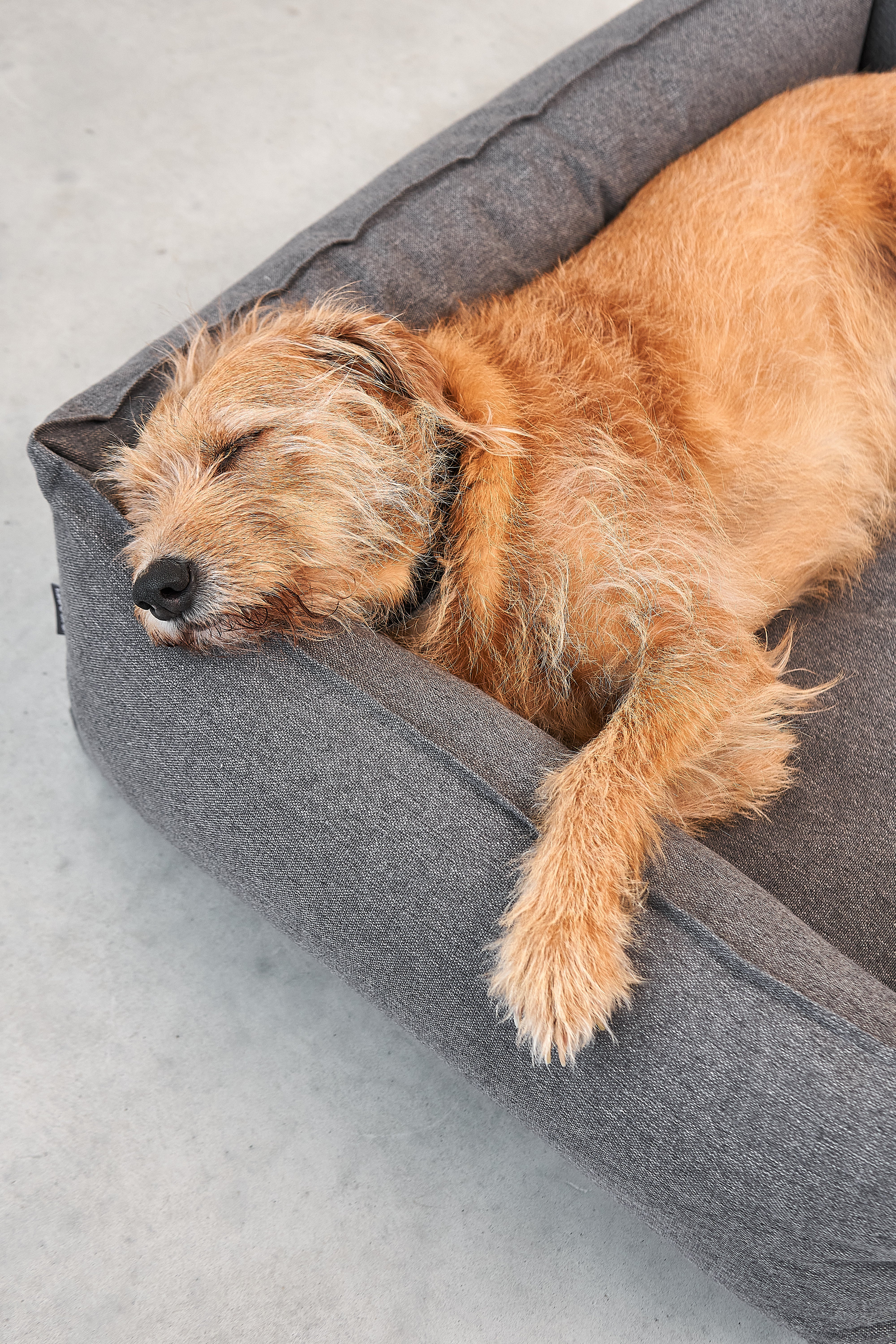 Nube Dog Bed MiaCara