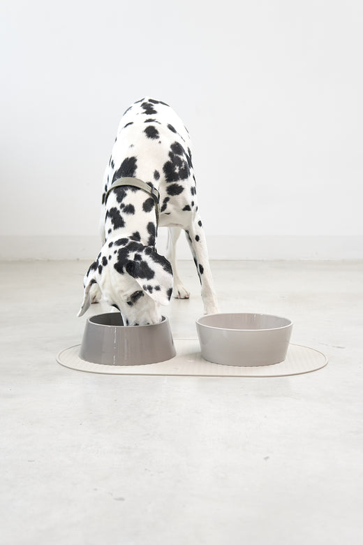 SKU:: C13-025-01-SM ||