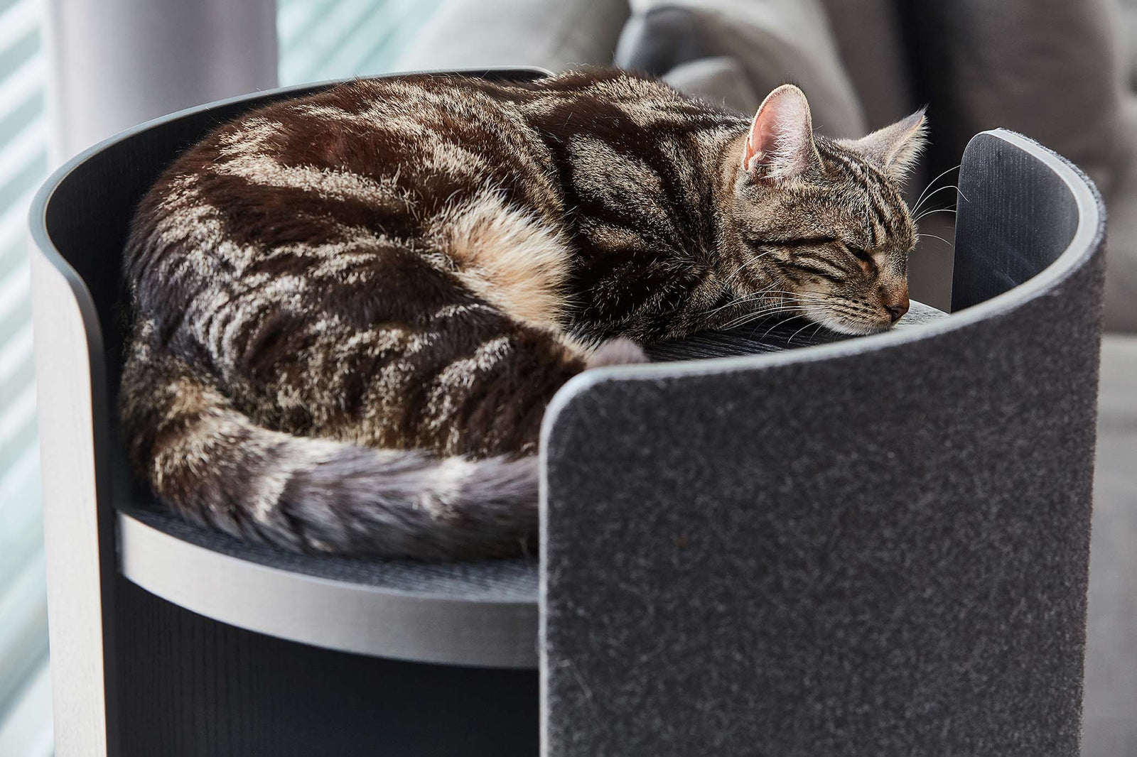 Torre Cat Scratching Post MiaCara