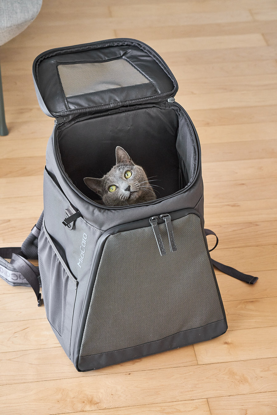 Official MiaCara Zaino cat backpack with a cat inside the ventilated carrier