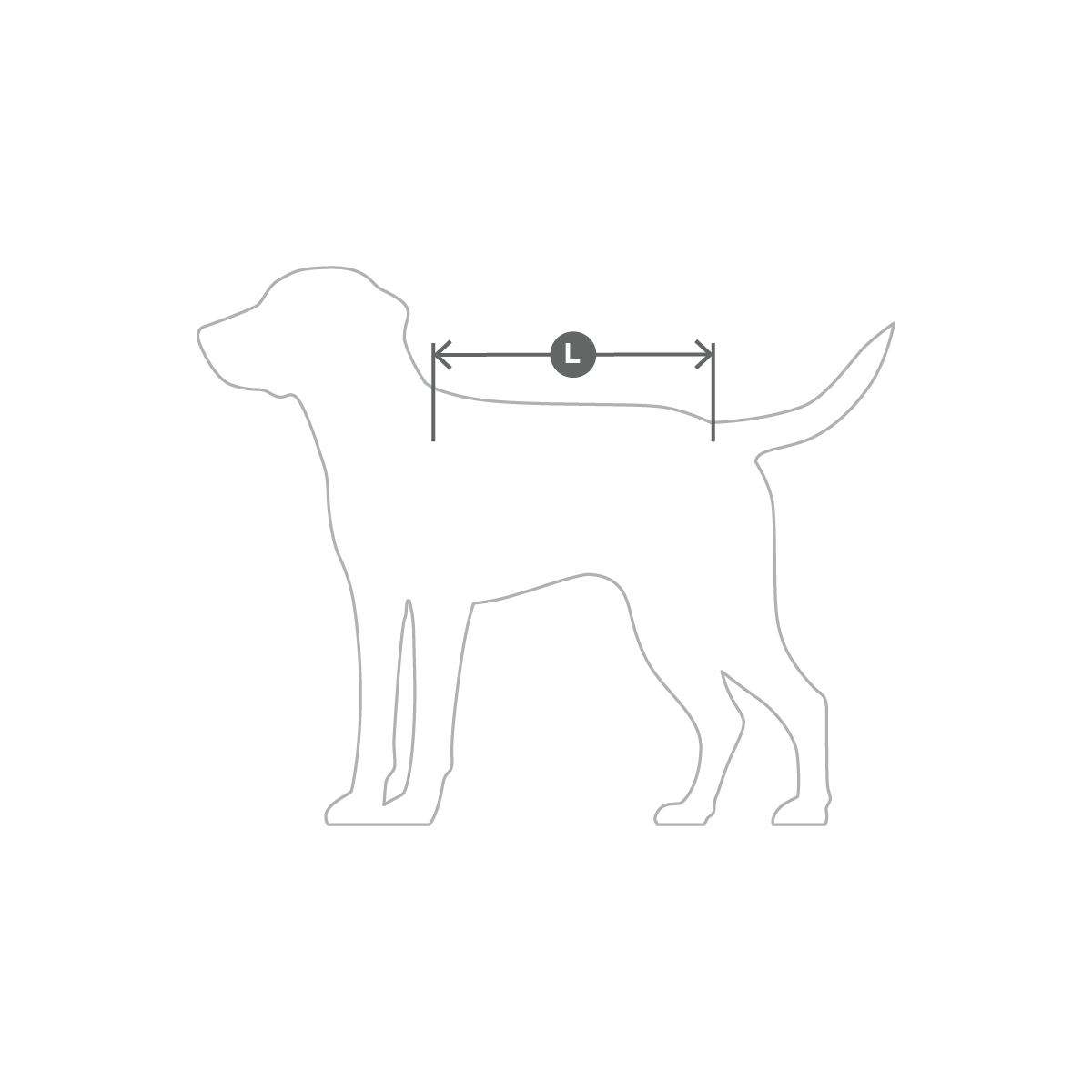 Image 40176609362196